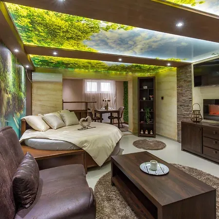 Apartment Vila Ceca